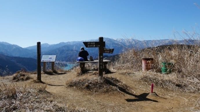 南山 のち フクジュソウ 2022.02.25