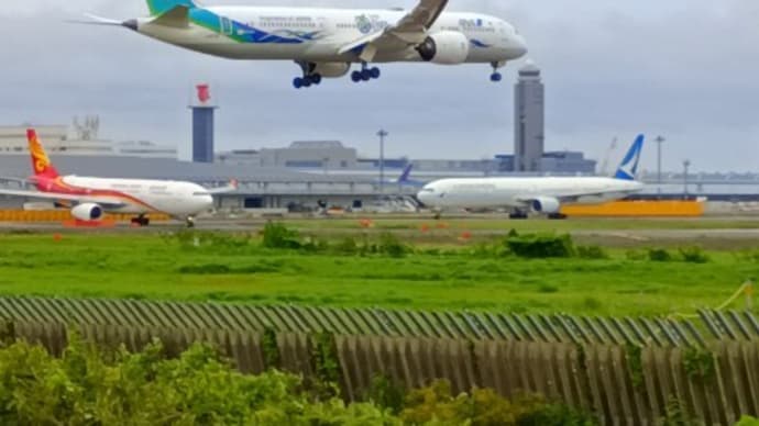 お次は緑のドリームライナー(JA871A)…