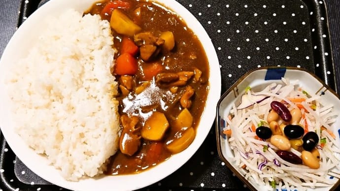 家で昼ご飯(自家製のチキンカレーとサラダ)(2024年3月31日)