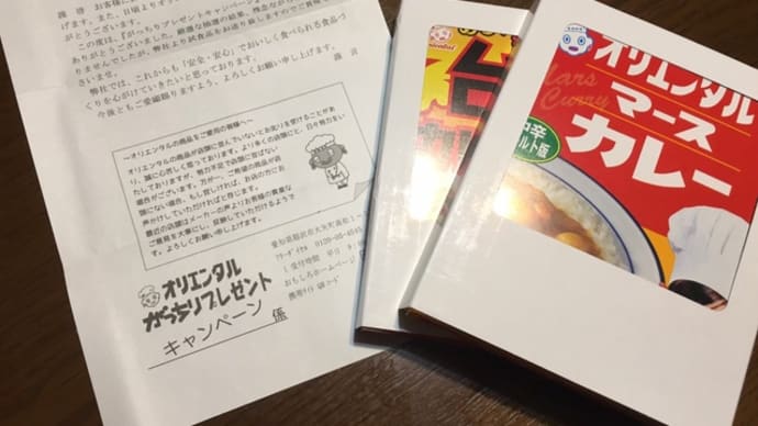 オリエンタルマースカレー