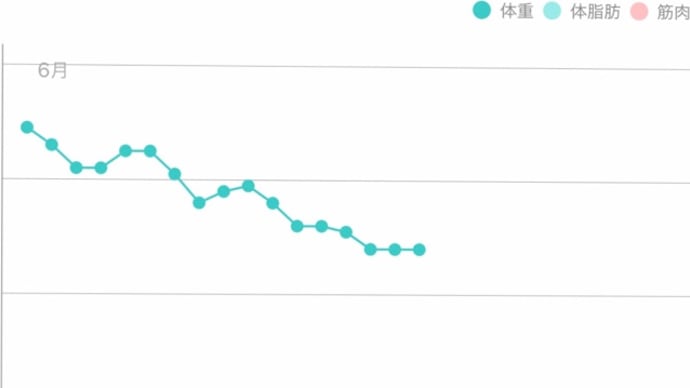 とうとう来た停滞期