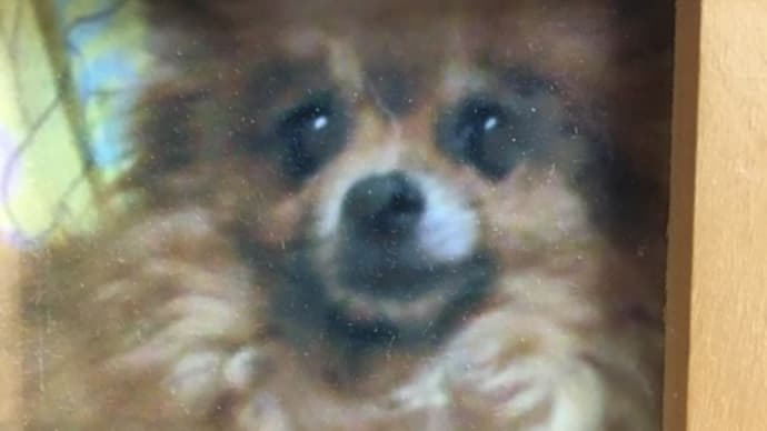 ルナ