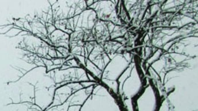 初雪や(1)