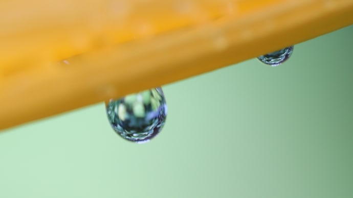 雨の合間に