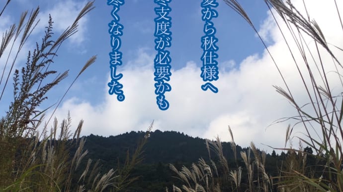 朝晩寒くなりました。/ ラグの写真詩