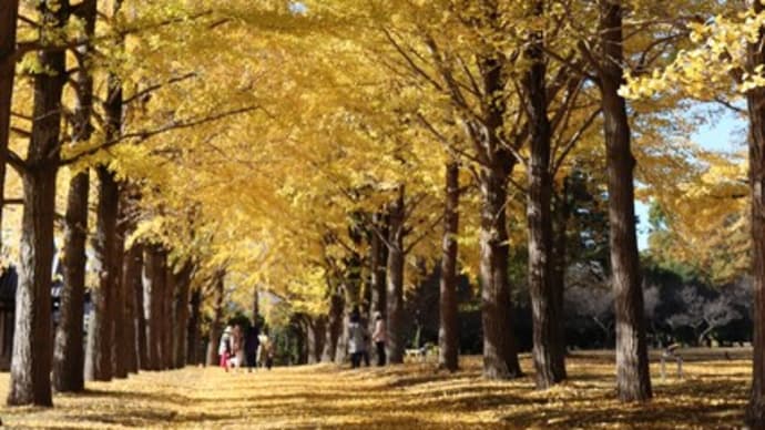 只今ぶらり・茨城県立歴史館(茨城県水戸市)