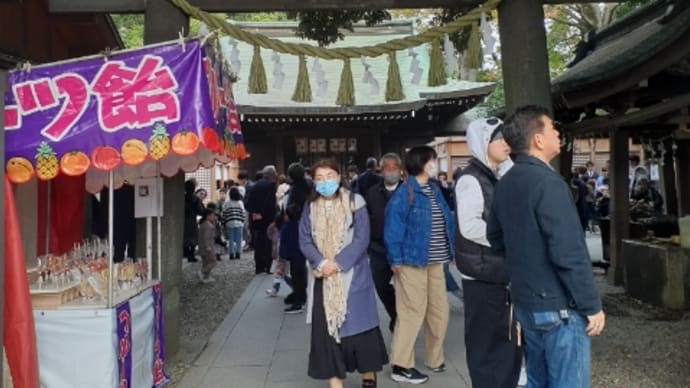 川越散歩 菊まつり