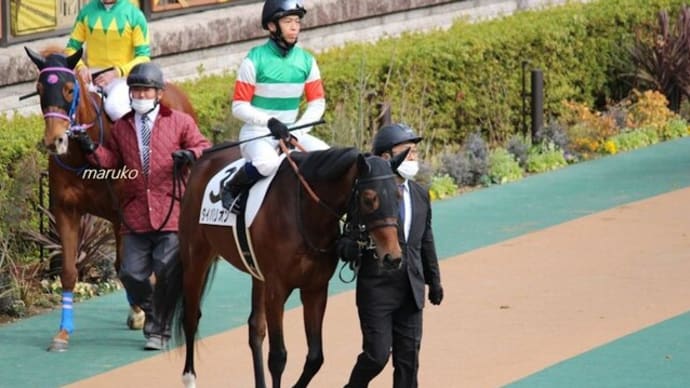 がんばれ、初勝利!