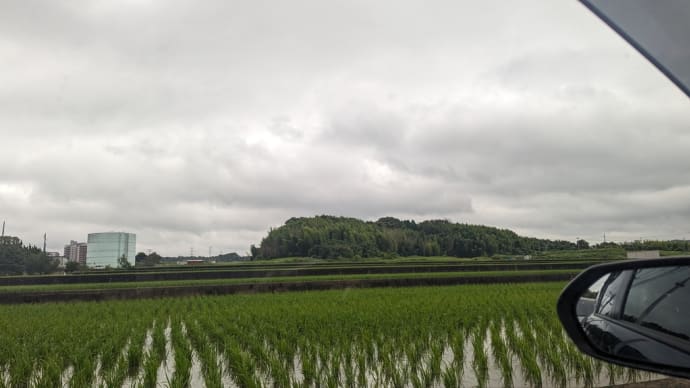7月刈り入れの曲