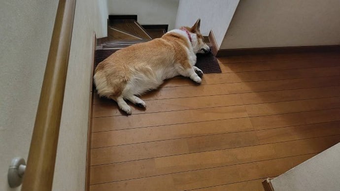 バランス感覚がいいのか??