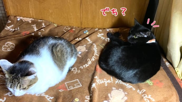 お久しぶりに一緒だ寝