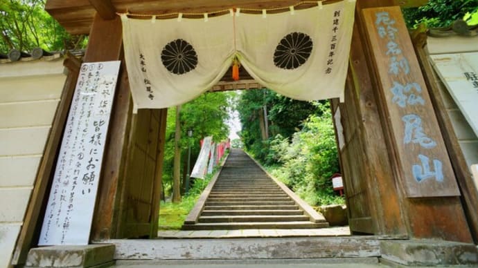松尾寺の「カサブランカ」と隣の駅近の休耕地ハス