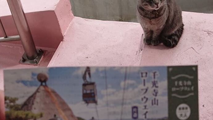 ブログ230318 しまなみ海道と青春18きっぷの旅～千光寺山ロープウェイと猫のかつお