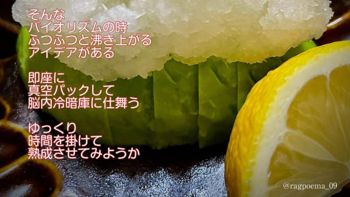 アイデア / ラグの写真詩