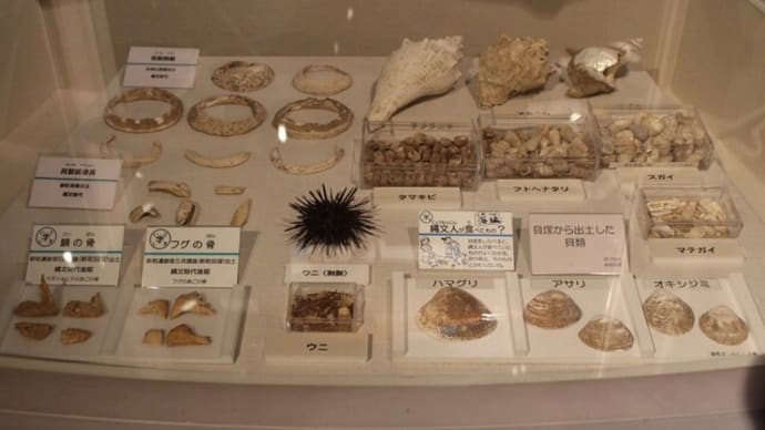 糸島市立志摩歴史資料館(2)