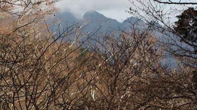 大峯奥駈道の枝尾根を歩く　三本栂と下山編