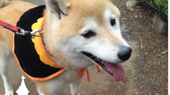 ハロウィンイベントへ