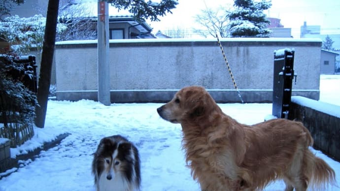 初雪の頃