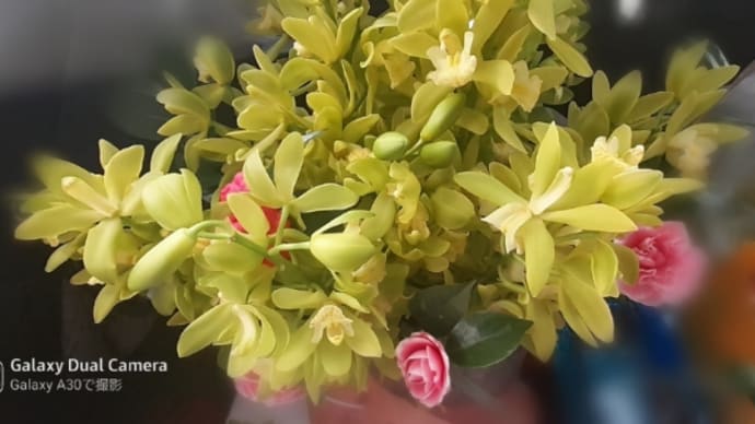 おめでたい報告♡