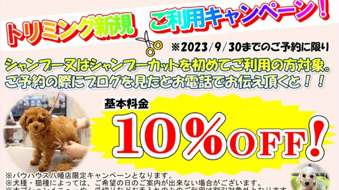 ✨トリミング新規ご利用キャンペーン✨