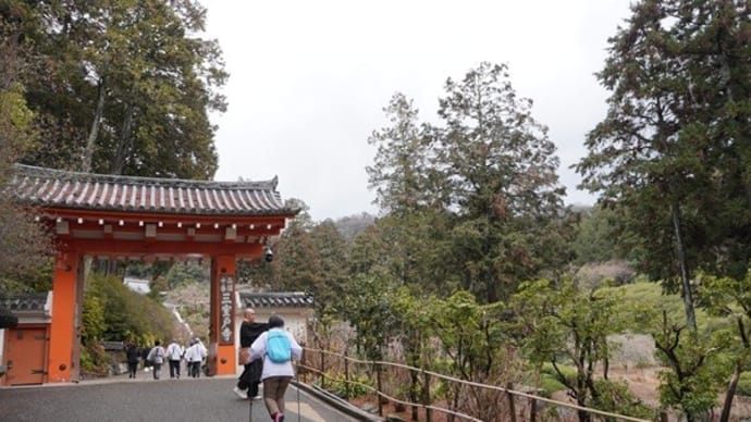 【西国三十三所巡礼】十番・三室戸寺