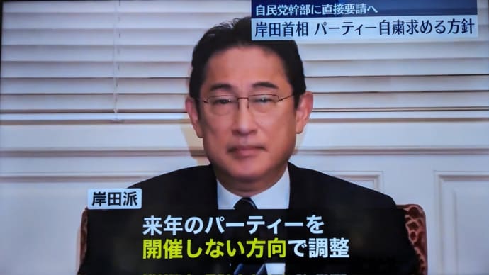 政治資金パーティーやりまくって逃げる岸田首相