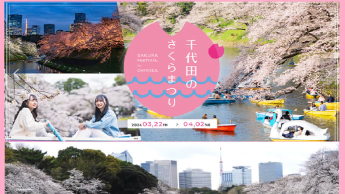 「千代田のさくらまつり」の千鳥ヶ淵会場は満開!!