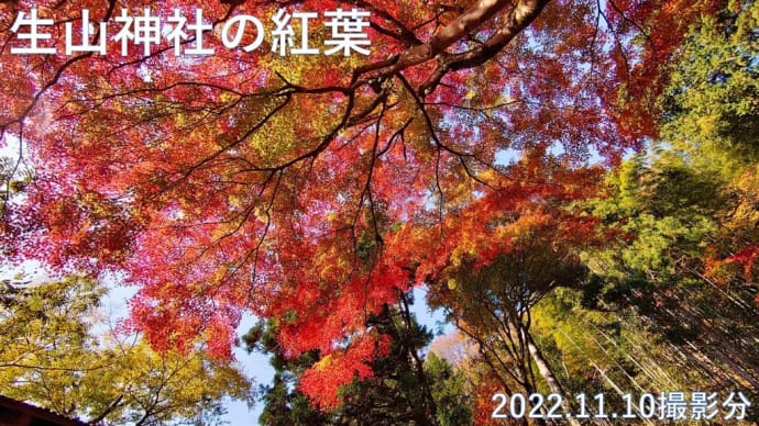 生山神社の紅葉　11月10日撮影分