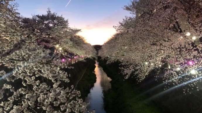 Market in March.お知らせと英語で書く理由。