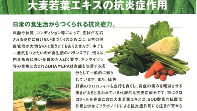 【炎症痛】イチゴ農家の健康事情　その4【パート3】
