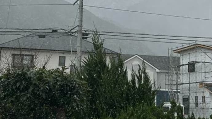 寒かった