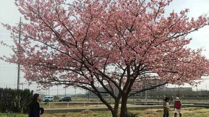 思考は時間を超えても現実化する 25年前に夢みたもの
