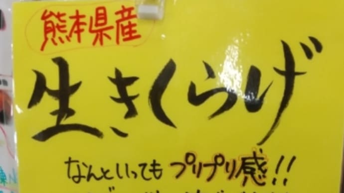 生きくらげを買いました