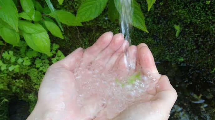 検索ワード「 飛鳥山 」