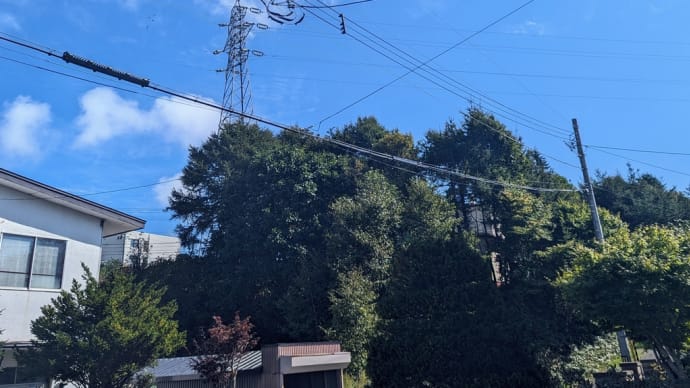 秋空です。