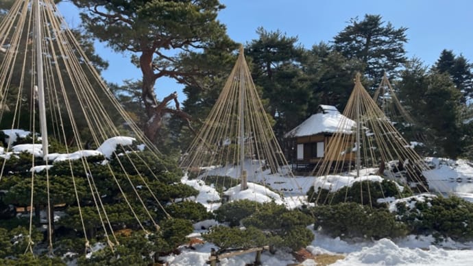 雪吊りと御薬園 会津若松
