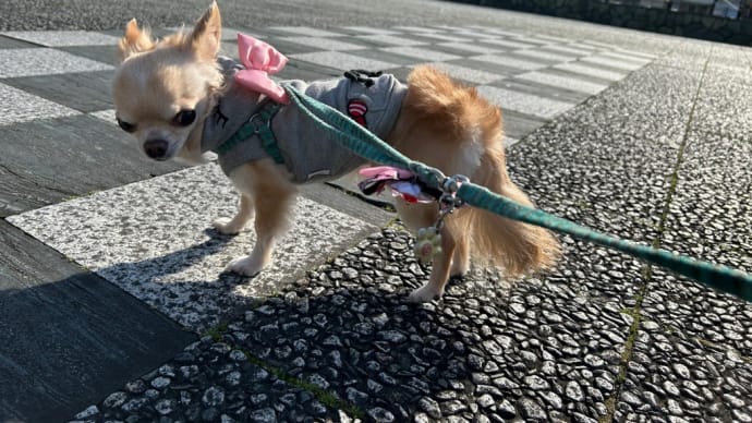 今日は暑かったね💦