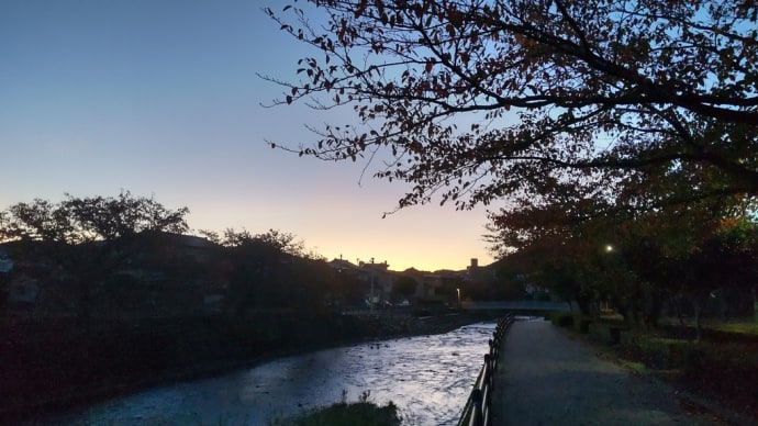 夜明けの川