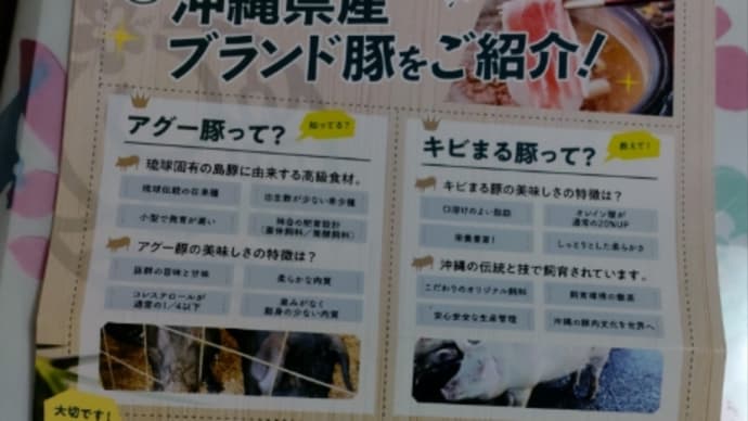 義母からいただいた立派な肉を