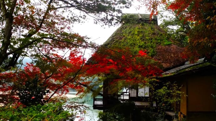 紅葉の臥龍山荘 不老庵 捨て柱
