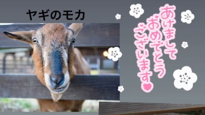 今年もよろしくお願いします❣️