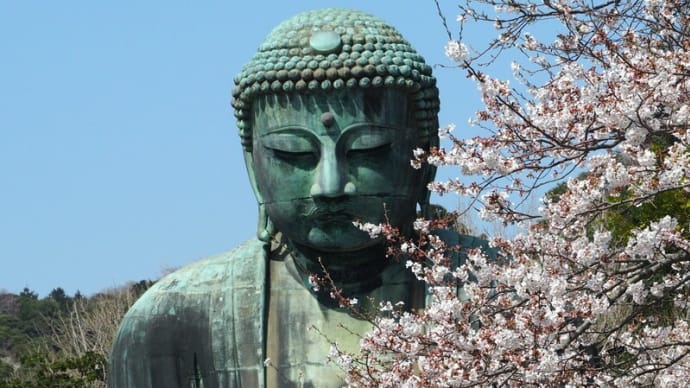 2018 鎌倉 桜の頃④ 高徳院(鎌倉大仏)へ 2018/3/29