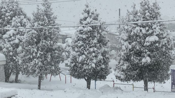 連日雪かき4日目