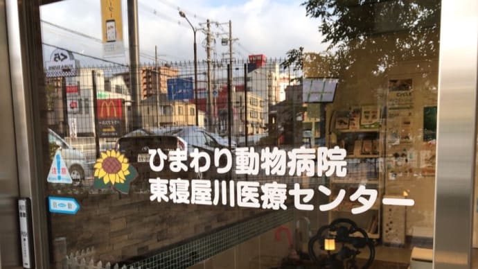 耳血腫2(2021.01.07)