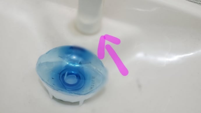 朝から大☆参☆事
