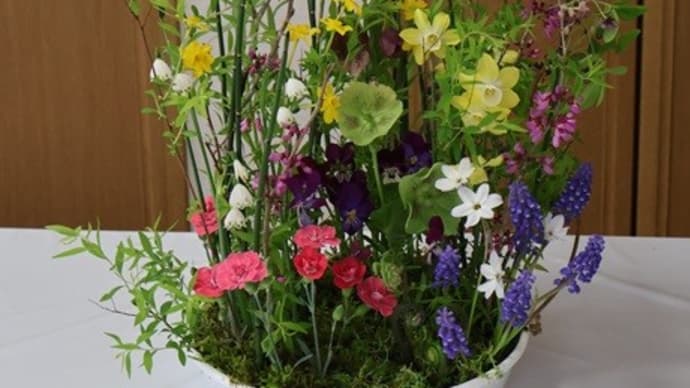 2025.4 春の庭 Small Garden