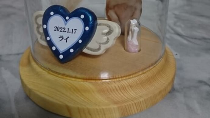 チワワのライちゃんの「天使の飾り窓」が可愛く完成されました