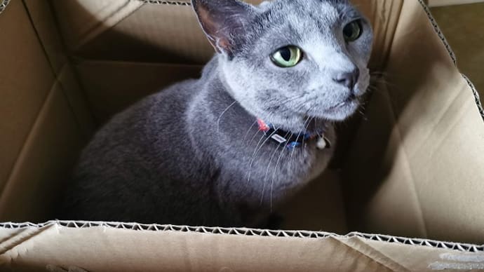 ジェントルさくら