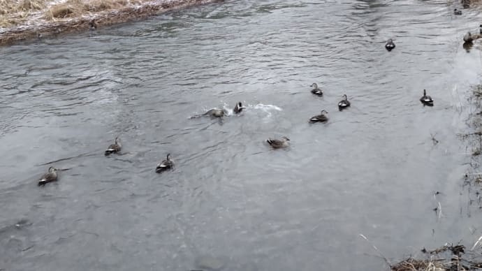 ひと休み