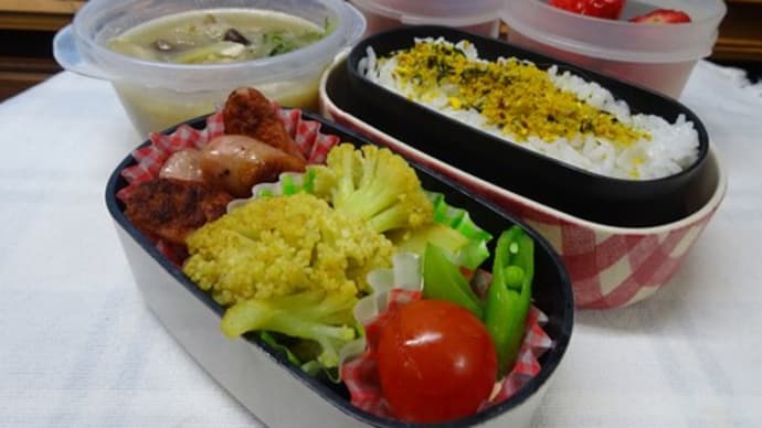 鶏味噌汁のお弁当と、プチ湯治